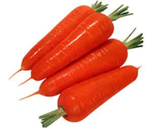 胡萝卜的营养成分