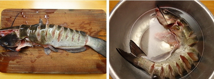豉汁蒸钳鱼的做法步骤1-2