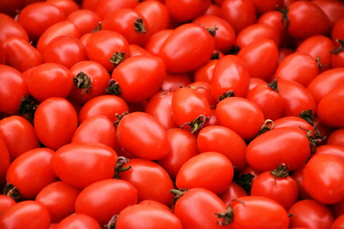 西红柿为什么能与豆腐同炒